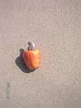 Loffe_old 092